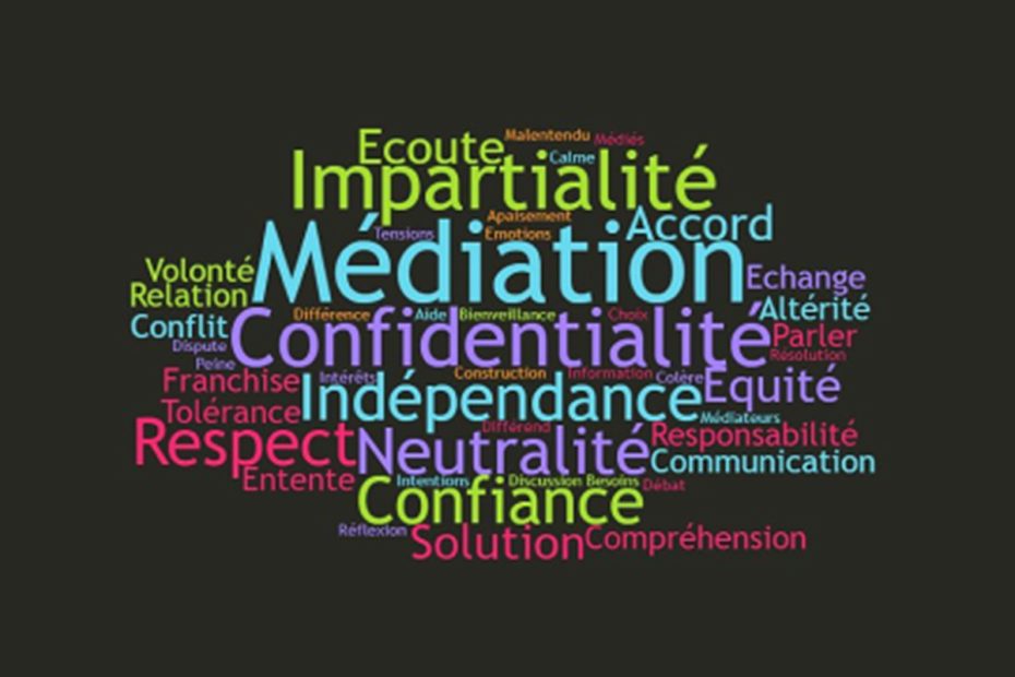 VISUEL Mediation WordCloud